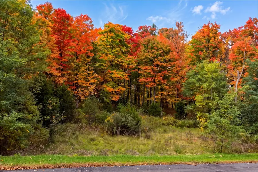 5217 Oak Harbor Road, Trumansburg, NY 14886 - #3