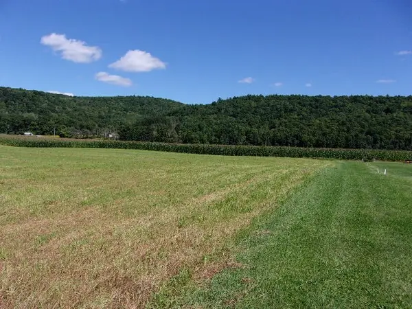 Reservoir Hill, Candor, NY 13743