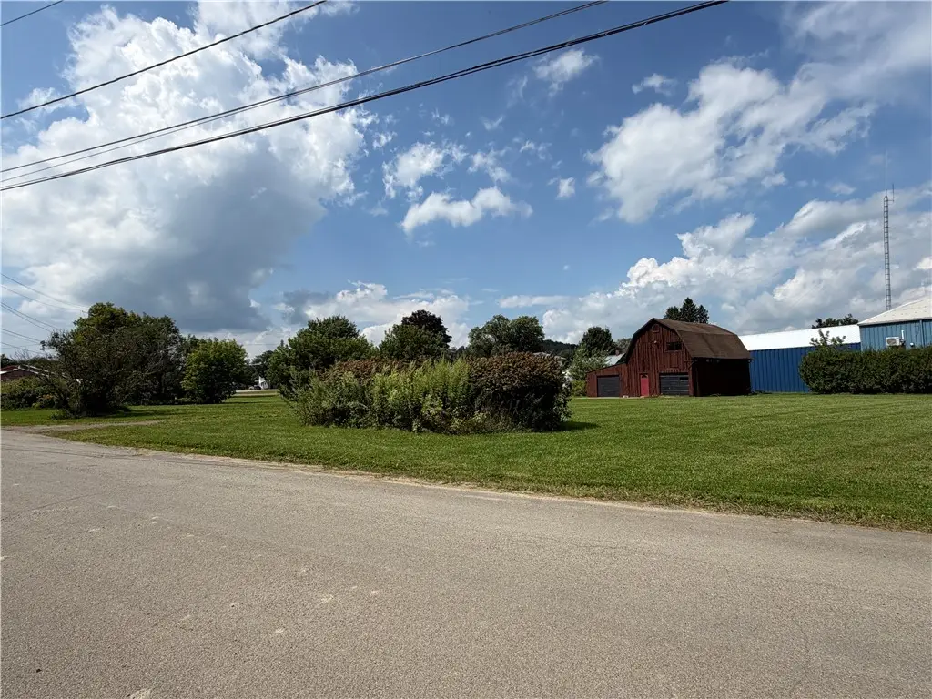 5322 Washington Street, Woodhull, NY 14898 - #1