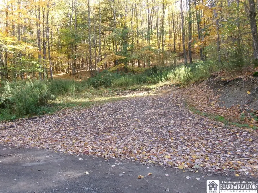 Ripple Road, Norwich, NY 13815 - #2