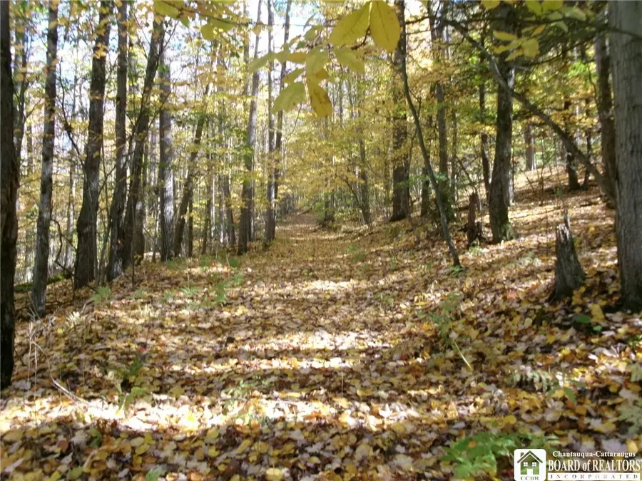 Ripple Road, Norwich, NY 13815 - #3