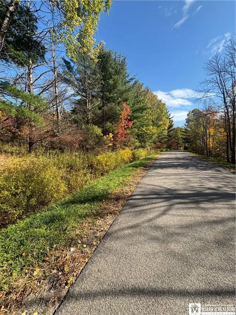 5794 Comfort Hollow Road, Scio, NY 14880 - #3
