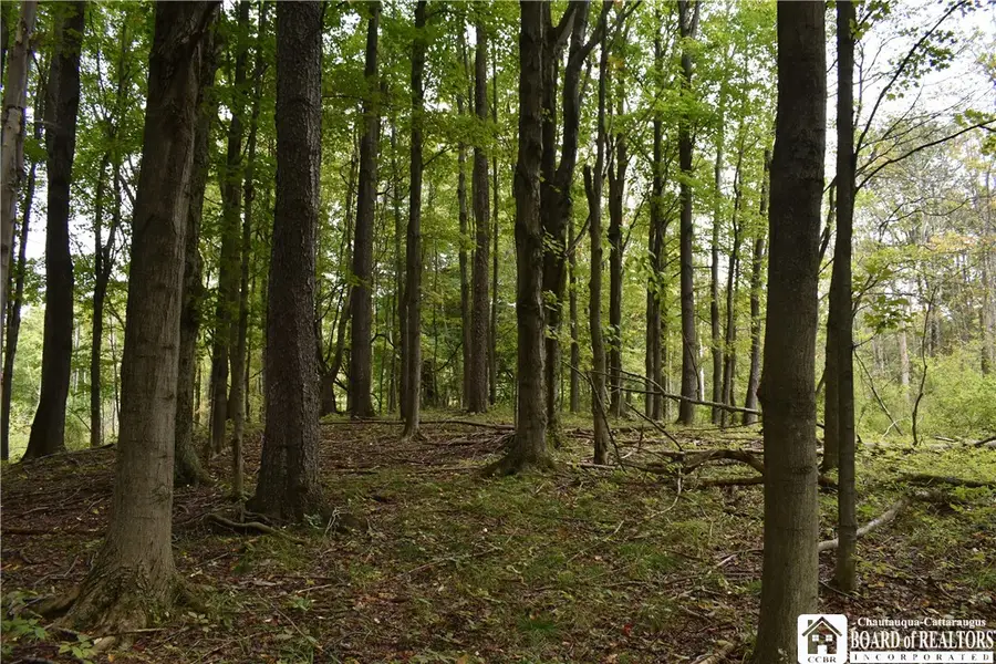 Concord Drive, Fredonia, NY 14063 - #3