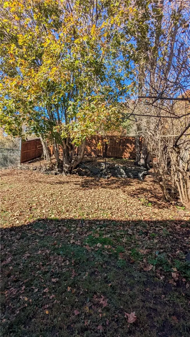8 Depew, Oneonta, NY 13820 - #3