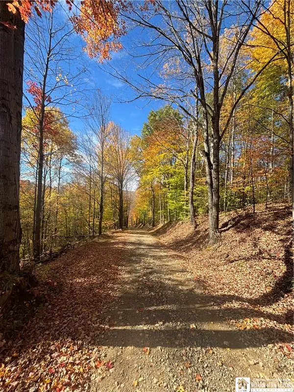 Paynesville Hill Road, Whitesville, NY 14897