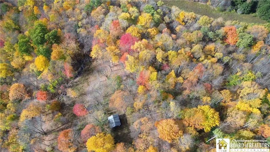 Paynesville Hill Road, Whitesville, NY 14897 - #3