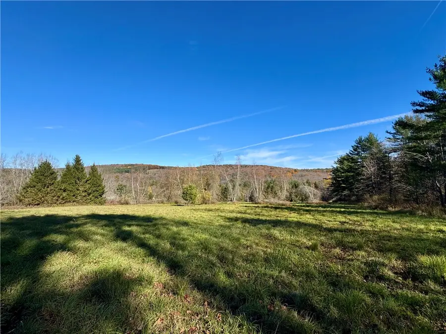 Wilber Lake Road, Oneonta, NY 13820 - #2