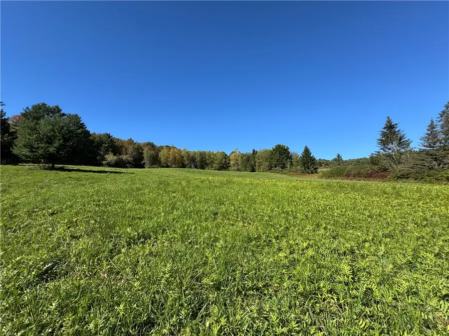 Wilber Lake Road, Oneonta, NY 13820 - #3