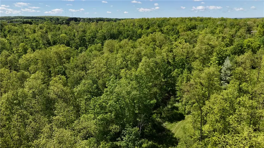 0 Forest Avenue Extension, Jamestown, NY 14701 - #2