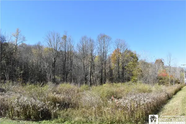 11088 Springville Boston Road, East Concord, NY 14055