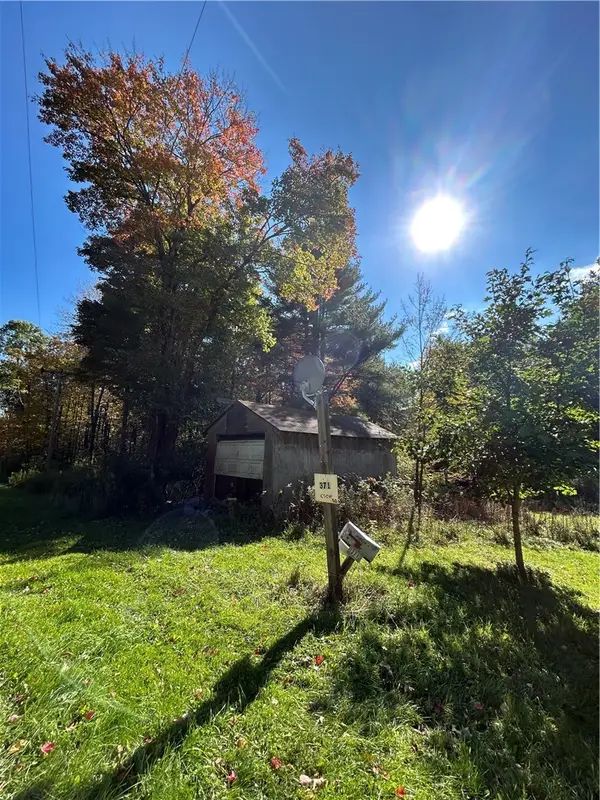 371 Lulu Coon Road, Unadilla, NY 13849