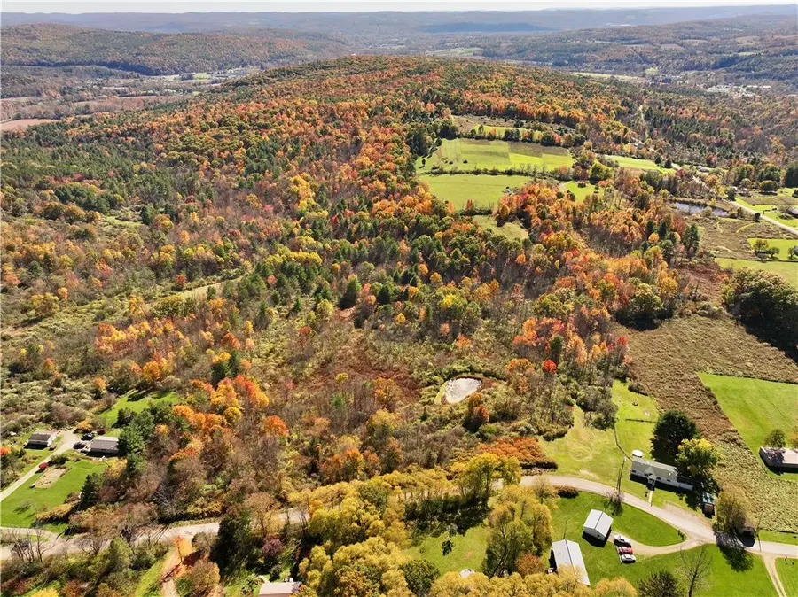 32 Paxton Lane, Candor, NY 13743 - #2