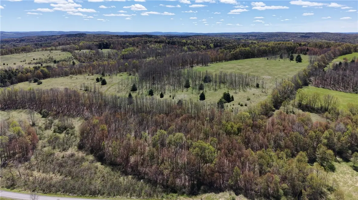 ID .53 & .54 Burski & Miller Road, New Berlin, NY 13411 - #1