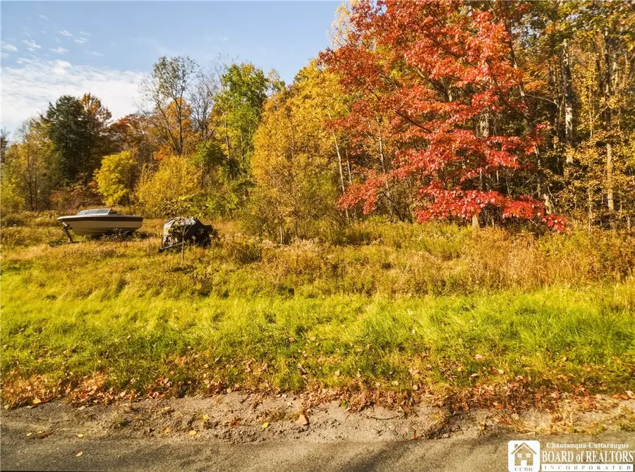 Jolls Road, Dayton, NY 14138 - #2