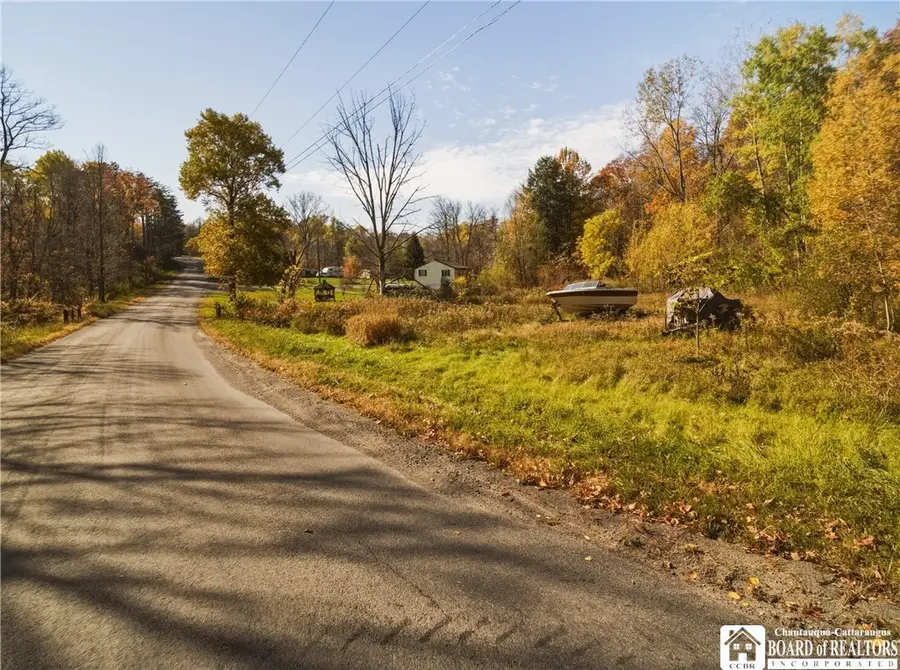 Jolls Road, Dayton, NY 14138 - #3