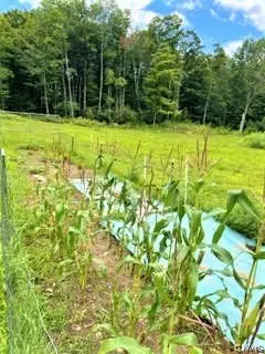 01 Overswamp Road, Saint Johnsville, NY 13452 - #2