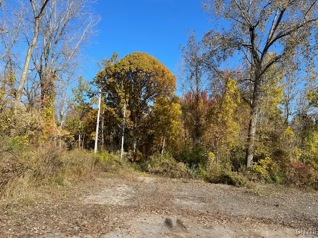 #3