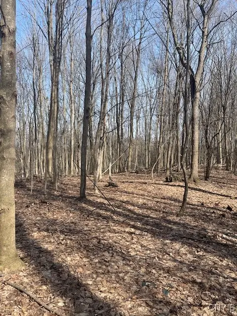 #3