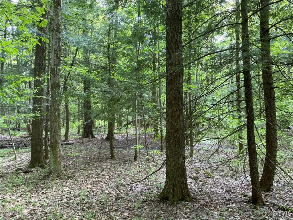 #1