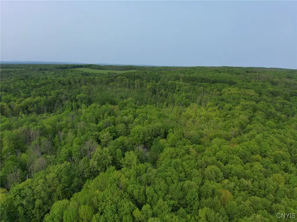 0000 Lynch Road, Newport, NY 13416 - #1