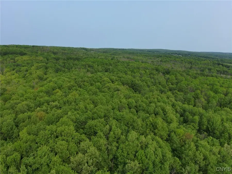 0000 Lynch Road, Newport, NY 13416 - #2