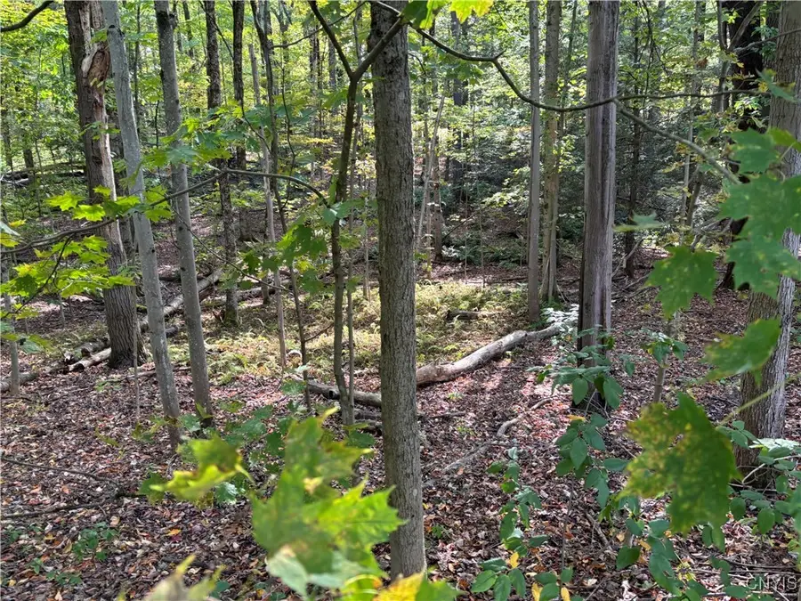 7639 Oakview Terrace, Floyd, NY 13440 - Image #2