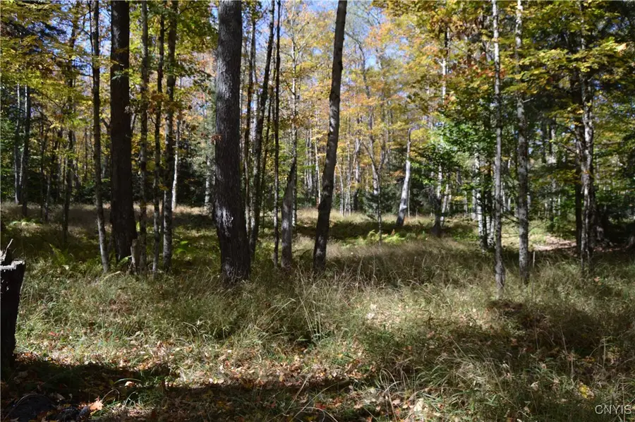 10409 Benoit Drive, Croghan, NY 13327 - Image #3