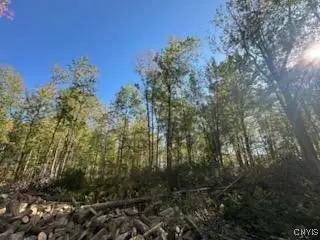 #1