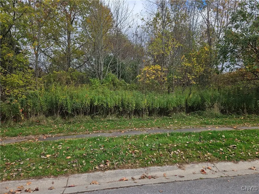 Salmon Meadow Lane, Pulaski, NY 13142 - Image #2