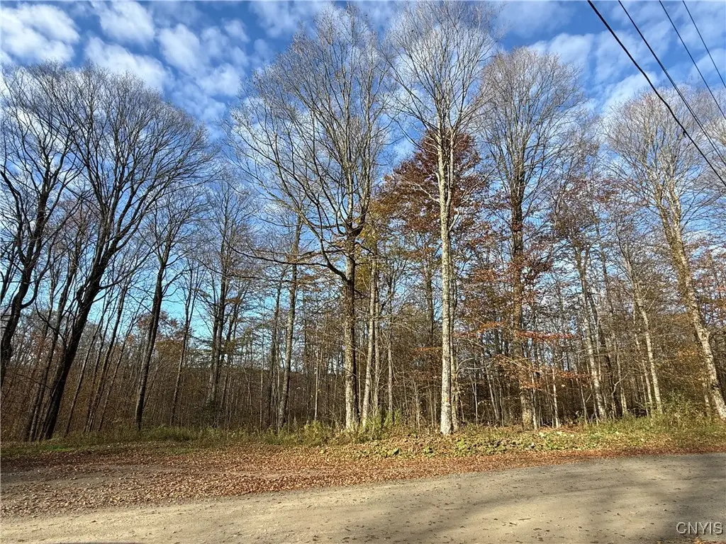 00 Magpie Lane, Truxton, NY 13158 - Image #1