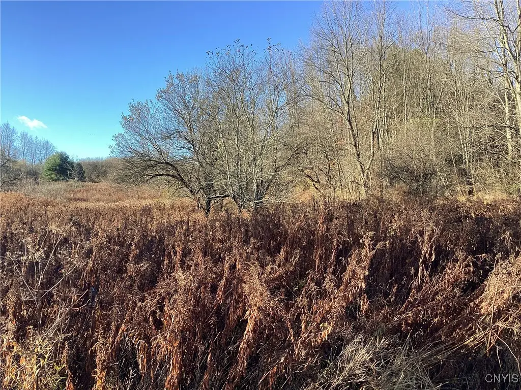 00 Blue, Barneveld, NY 13304 - Image #1