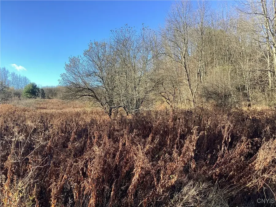 00 Blue, Barneveld, NY 13304 - Image #2