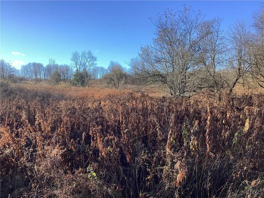 00 Blue, Barneveld, NY 13304 - Image #3