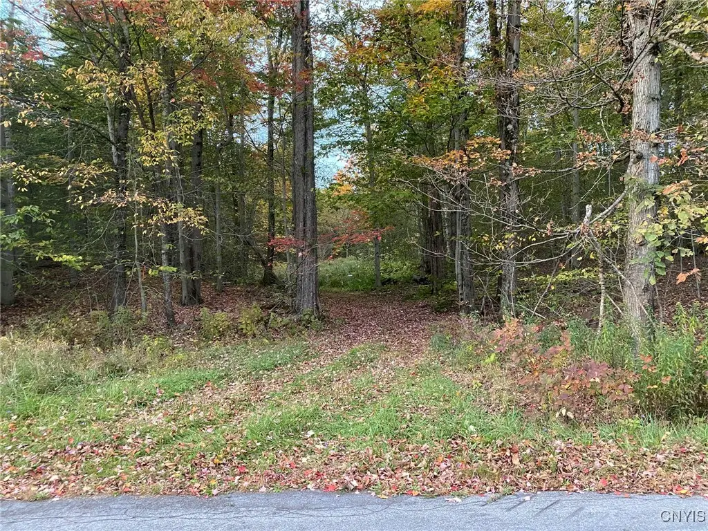 Voorhees Road, Parish, NY 13131 - Image #1