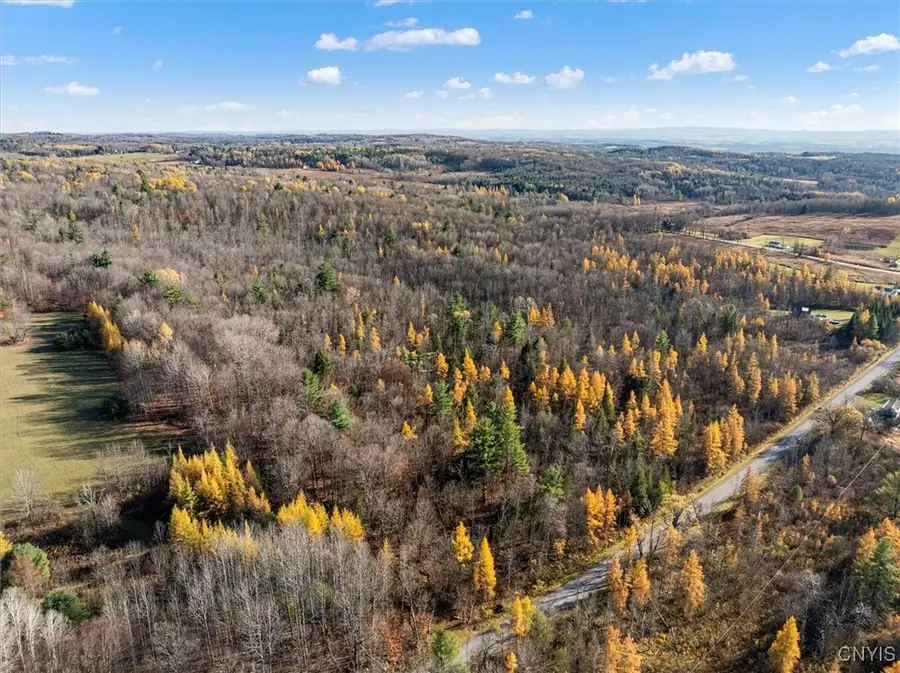 0 Beldens Corners Road, Dolgeville, NY 13329 - Image #3