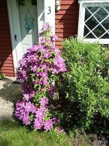 3 Shotwell Lane, Skaneateles, NY 13152 - Image #2