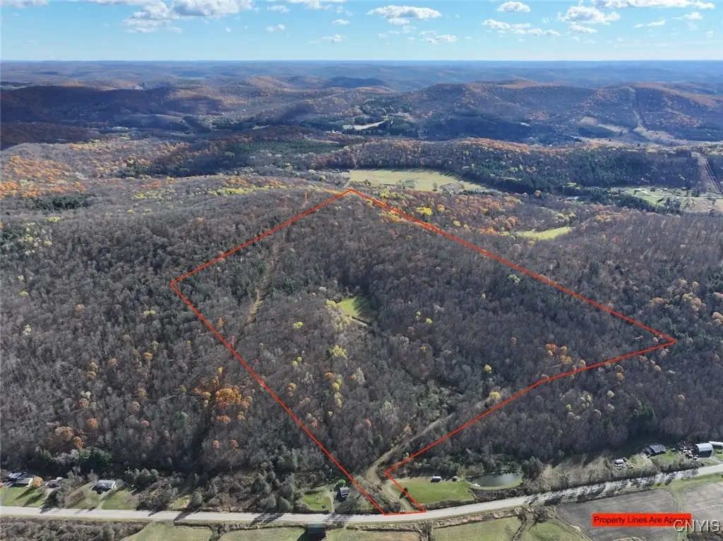 Haskell Road, Cuba, NY 14727 - Image #1