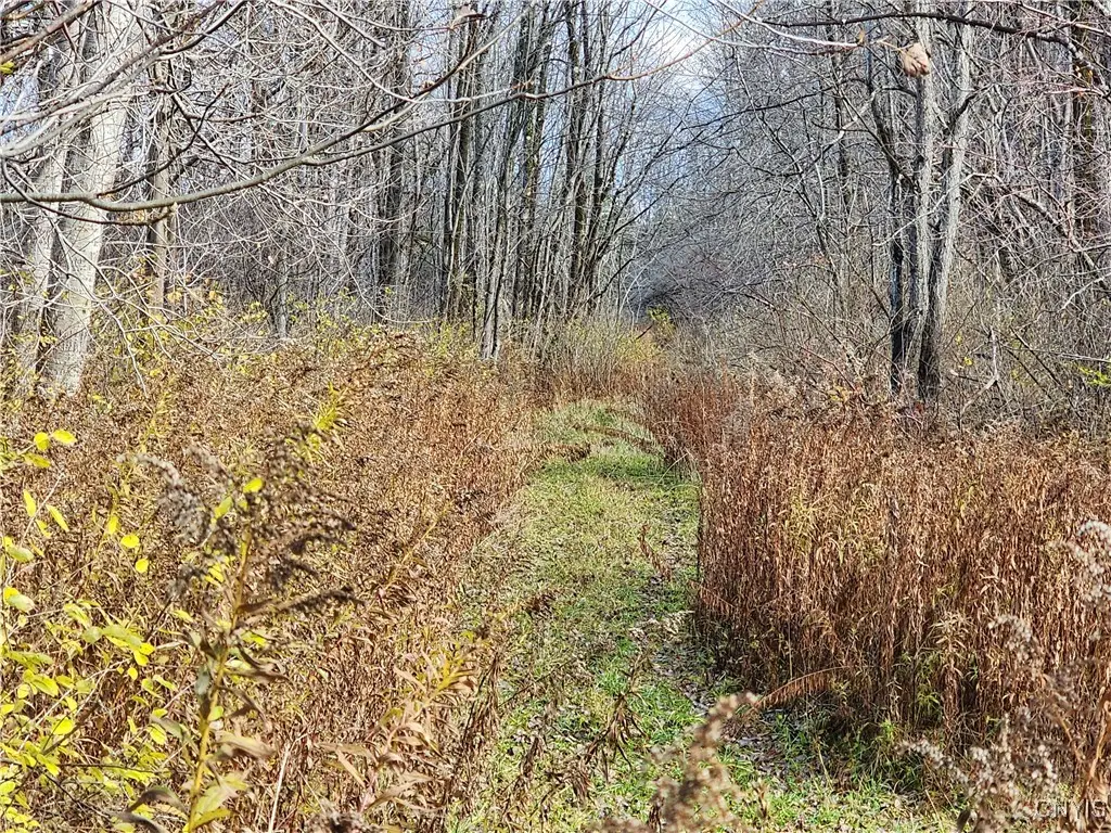 Rt-294, Boonville, NY 13309 - Image #1