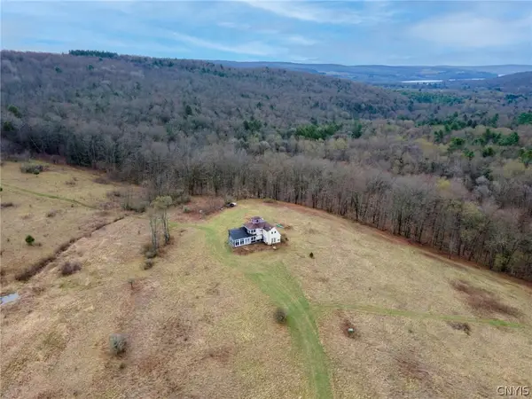 Merrill Creek Road, Marathon, NY 13803