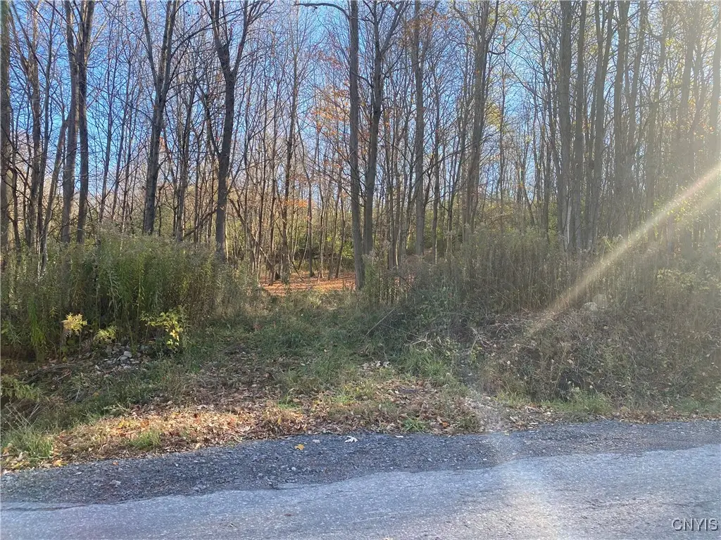 Roberts Road, Carthage, NY 13619 - Image #1