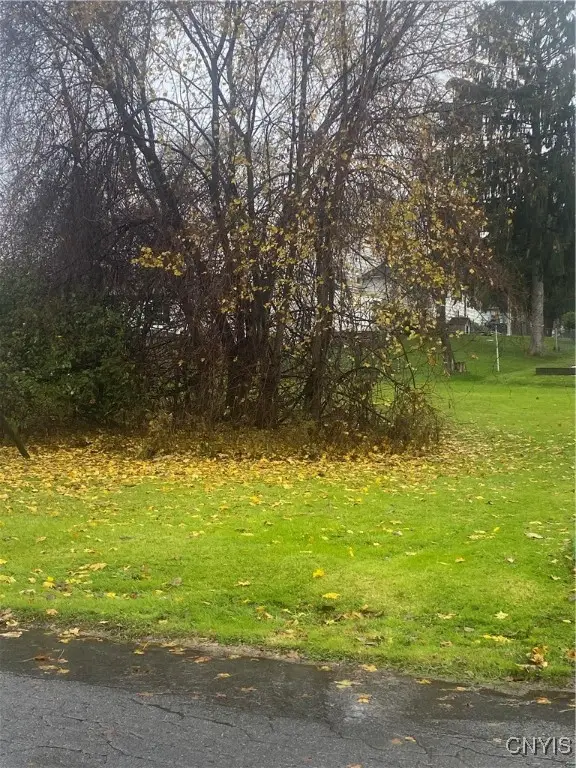 Niagara Avenue, Syracuse, NY 13209