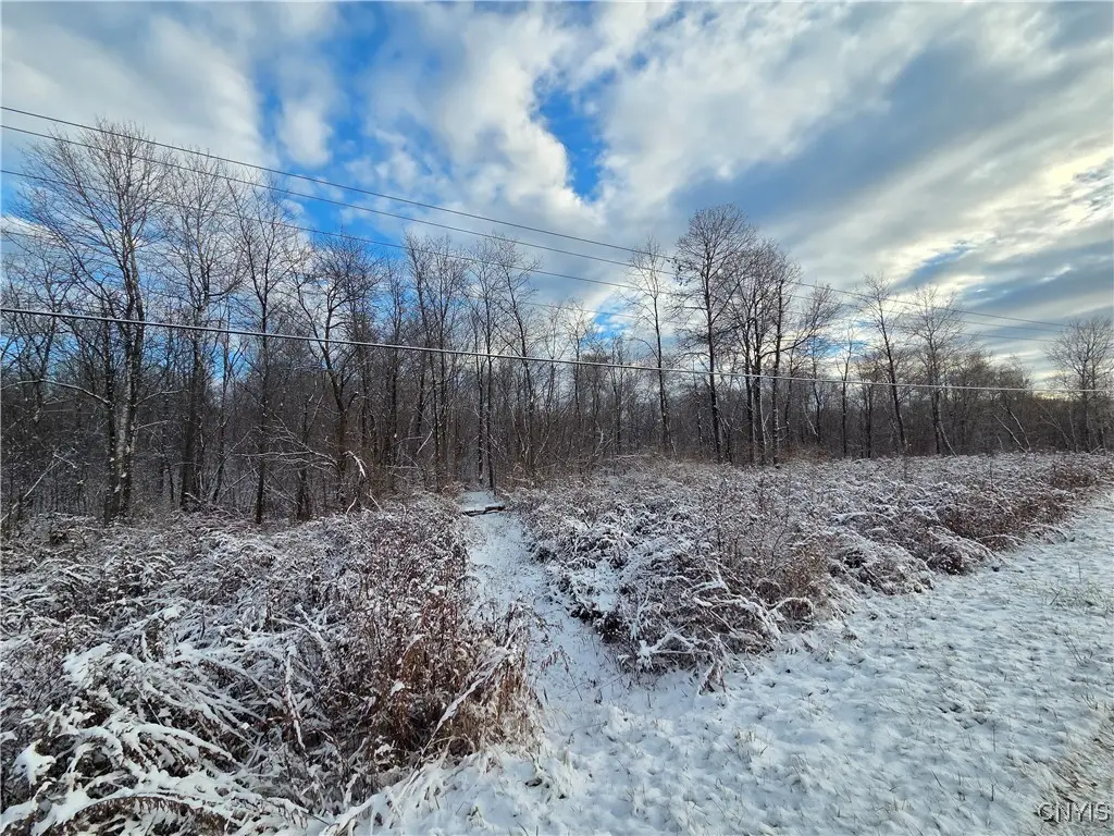 Co Rte 42, Carthage, NY 13619 - Image #1