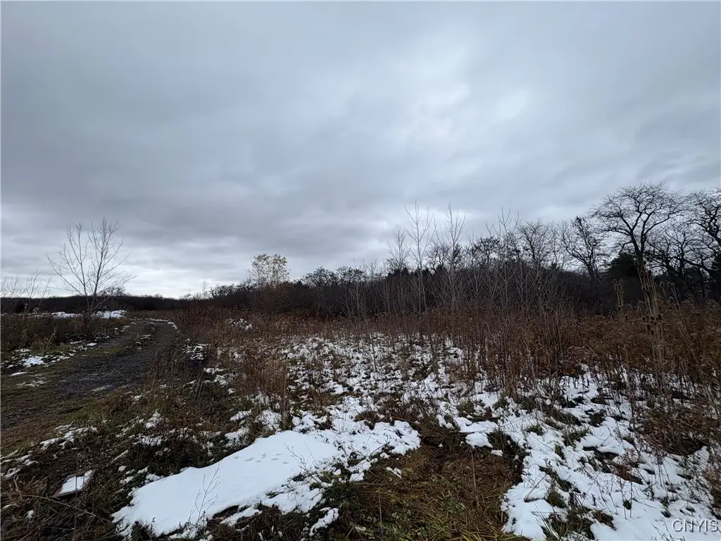 34 State Street, Auburn, NY 13021 - Image #1