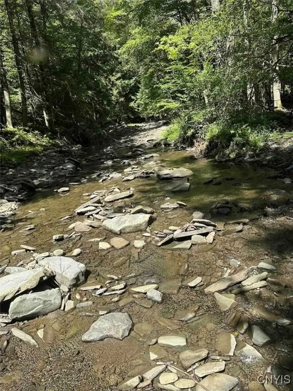 360 Ives Hill Road, Afton, NY 13730 - Image #2