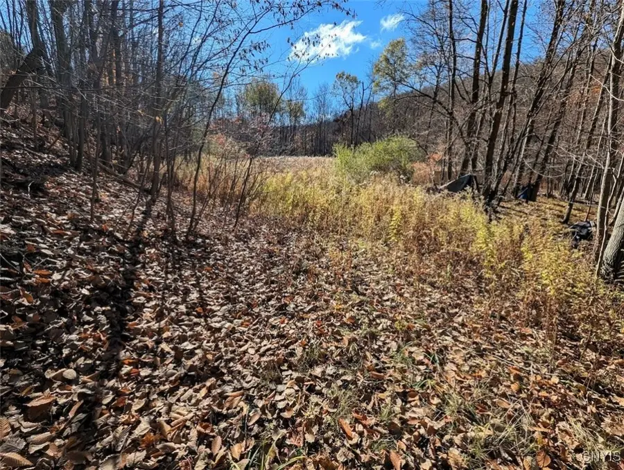 County Road 126, Greenwood, NY 14839 - Image #2