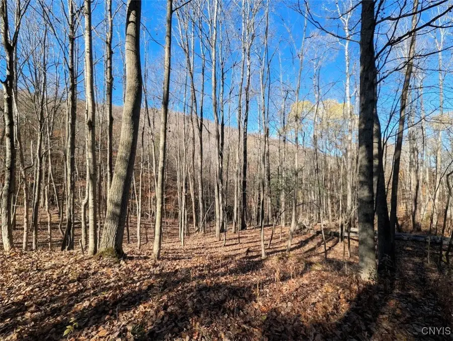 County Road 126, Greenwood, NY 14839 - Image #3