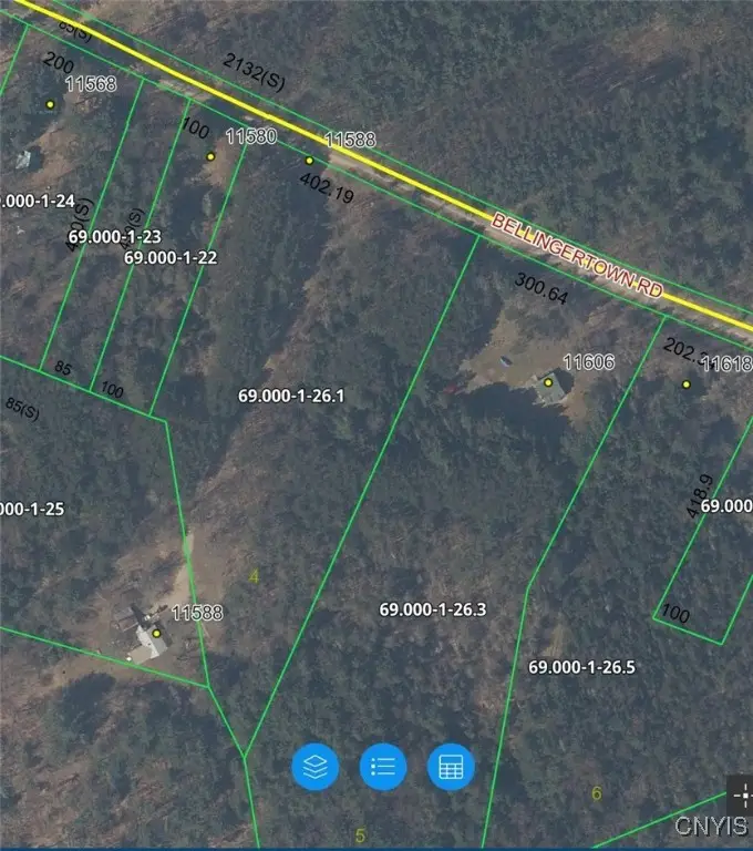 Bellingertown Road, Forestport, NY 13338 - Image #1