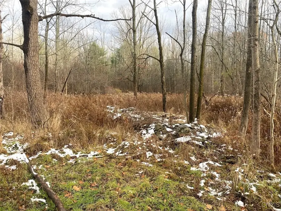 County Road 15, Hunt, NY 14846 - Image #2