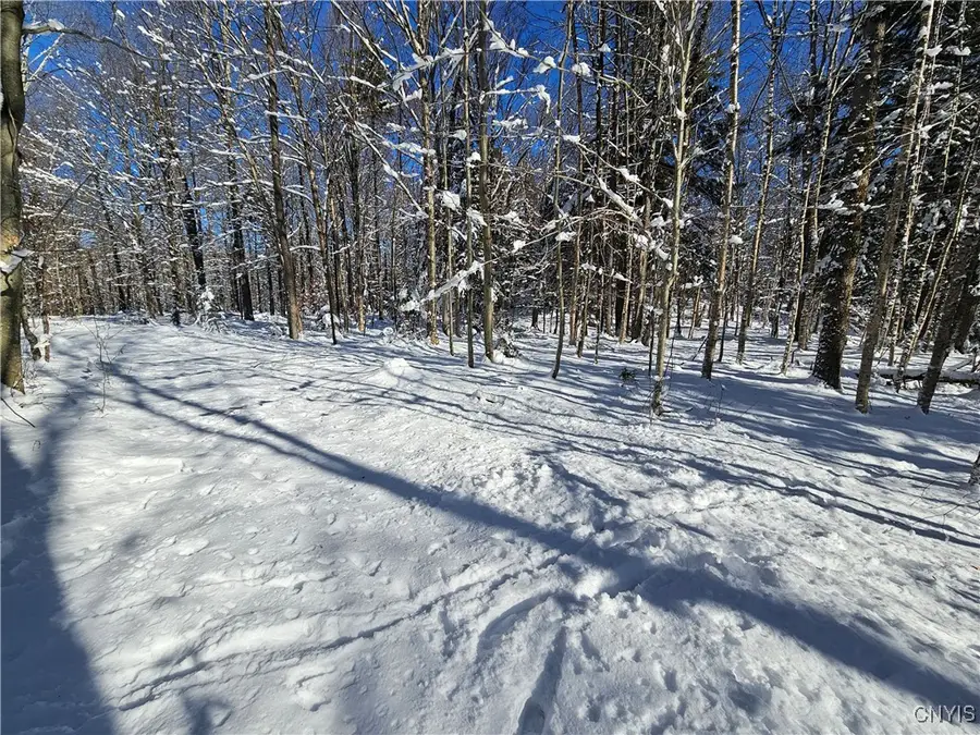 Long Pond Road, Croghan, NY 13327 - Image #2