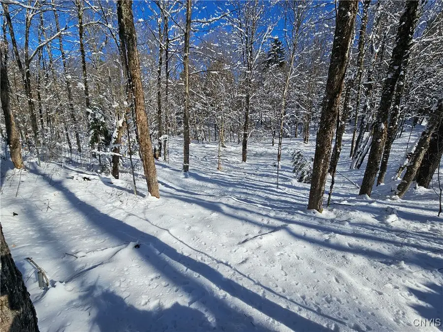 Long Pond Road, Croghan, NY 13327 - Image #3